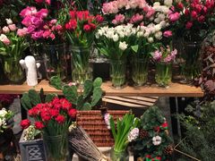 -植物学家的女儿(北马道巷店)