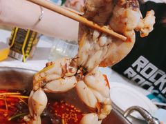 鲜活牛蛙-蛙两只美蛙鱼头火锅(恒茂店)