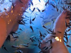 -汤连得温泉馆(宝山店)