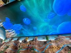 -珠海长隆海洋王国