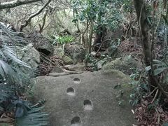 -呀诺达热带雨林