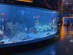 -烟台海昌鲸鲨海洋公园