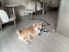 -YCHL Studios健身工作室(市二宫店)