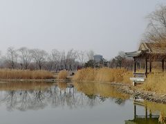 -水西公园