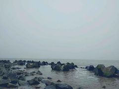 -南汇嘴观海公园