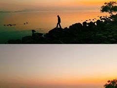-深圳湾公园(南山区)