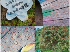 -杭州少年儿童公园