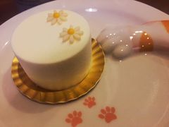 酸奶慕斯-咖法森林·咖啡  酒吧(天河店)