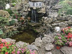 -上海醉白池公园