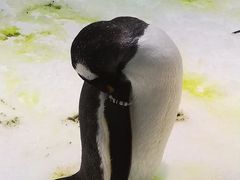 -大连圣亚海洋世界