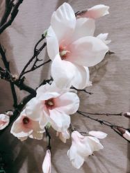 -米莱 Hair Salon 美髮