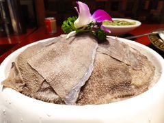 -黄家码头老火锅(解放碑旗舰店)