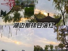 -武汉园博园(武汉自然博物馆)