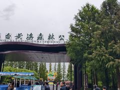 -黄海国家森林公园