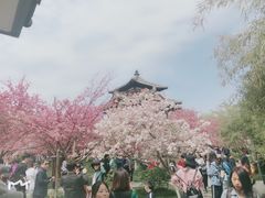 -西安青龙寺遗址景区