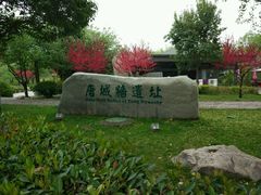 -唐城墙遗址公园