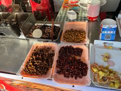 -乔波室内滑雪场