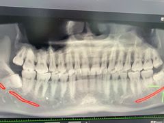 -上海市徐汇区口腔医院