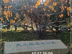 -元大都城垣遗址公园