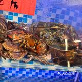 海鲜大餐开吃