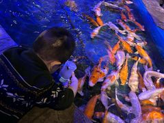 -华夏文旅海洋公园