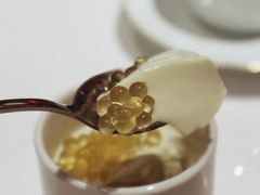 铁观音布丁-东富酒家(龙湖西溪天街店)