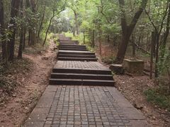 -紫金山山顶公园