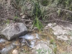 -西安祥峪森林公园