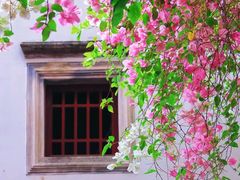 -深圳国际园林花卉博览园