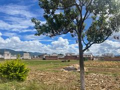 -回辉登偰氏面片(东莲花美食街店)