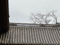 -花溪公园