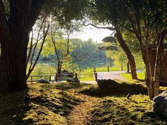 -新荣记(西溪湿地店)