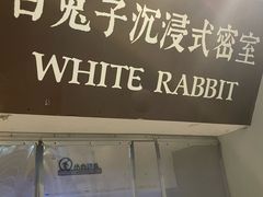 -白兔子密室(长寿路店)