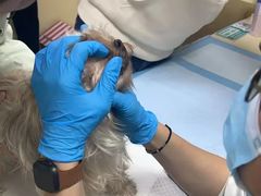 -美联众合动物医院·24h转诊中心