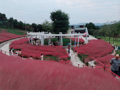 -牛岗山公园