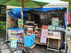 -岚山嵯峨野观光小火车