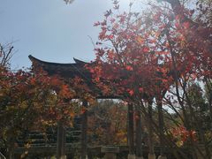 -塔川景区