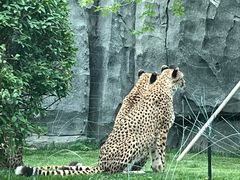 -北京野生动物园