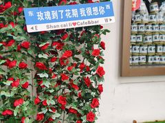 -山塘街