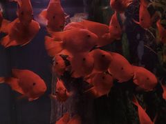 -常州海昌海洋探索馆