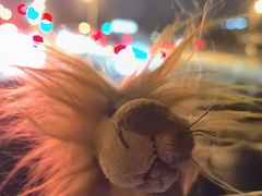 -百姓康洁洗浴中心