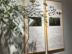 -十二舍·湯物素煮(江泰潤政店)