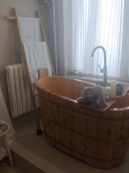 -薇薇安花系SPA