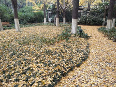 -常州天宁禅寺