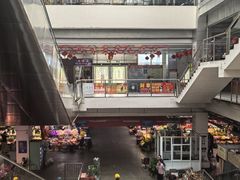 -花鸟鱼虫鲜花绿植市场(玉泉路店)