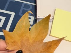 -黑皮酸菜鱼(三山街店)