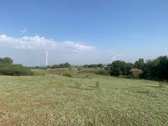 -御道口草原森林风景区
