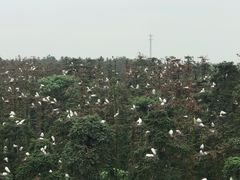 -象山森林公园