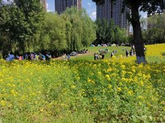 -长白岛森林公园