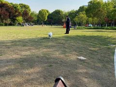 -杭州城北体育公园